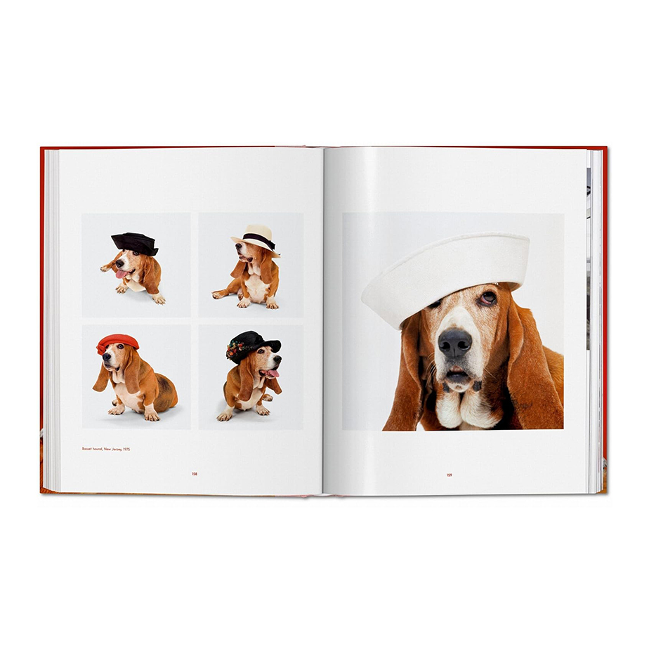 ספר DOGS. WALTER CHANDOHA. PHOTOGRAPHS 1941–1991