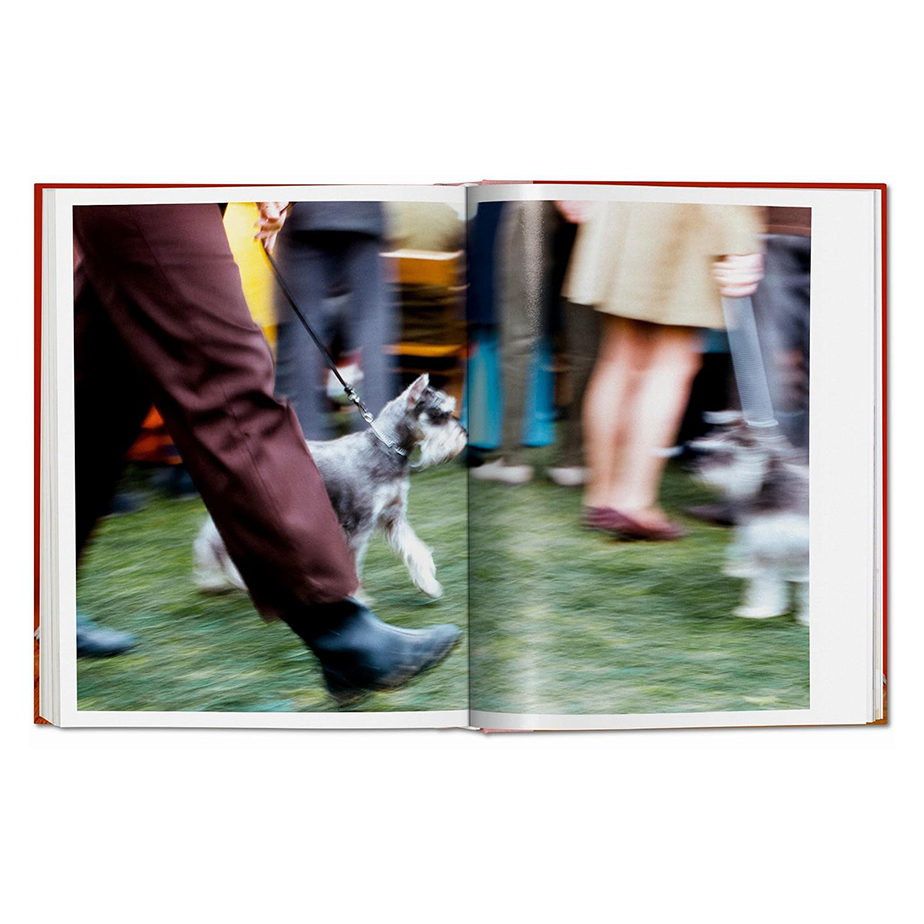 ספר DOGS. WALTER CHANDOHA. PHOTOGRAPHS 1941–1991