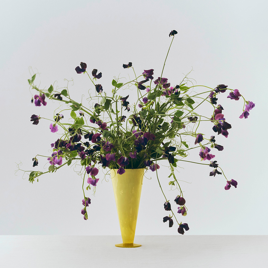 אגרטל CONICAL L