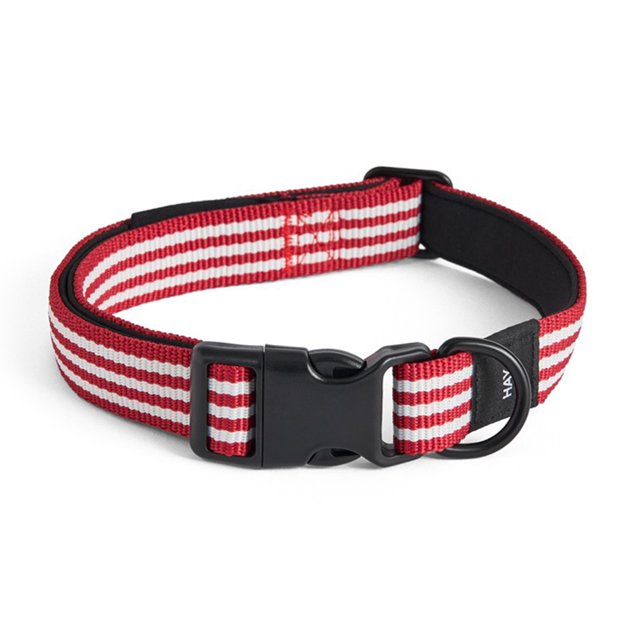 קולר שטוח HAY DOGS M/L