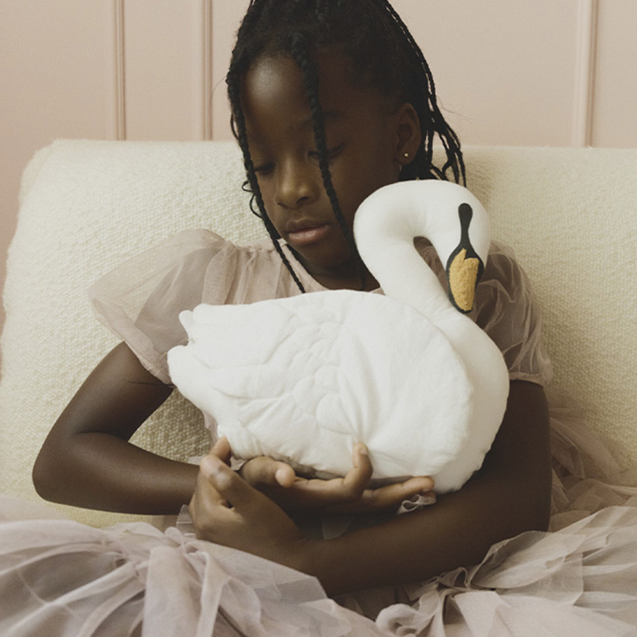 כרית SWAN