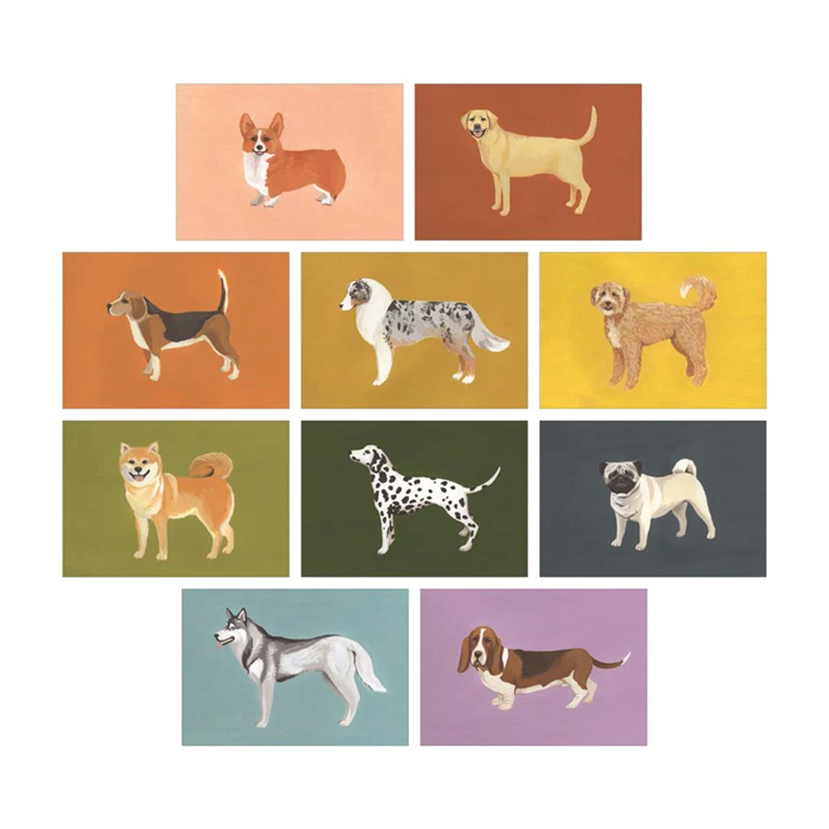 גלויות DOG BOX