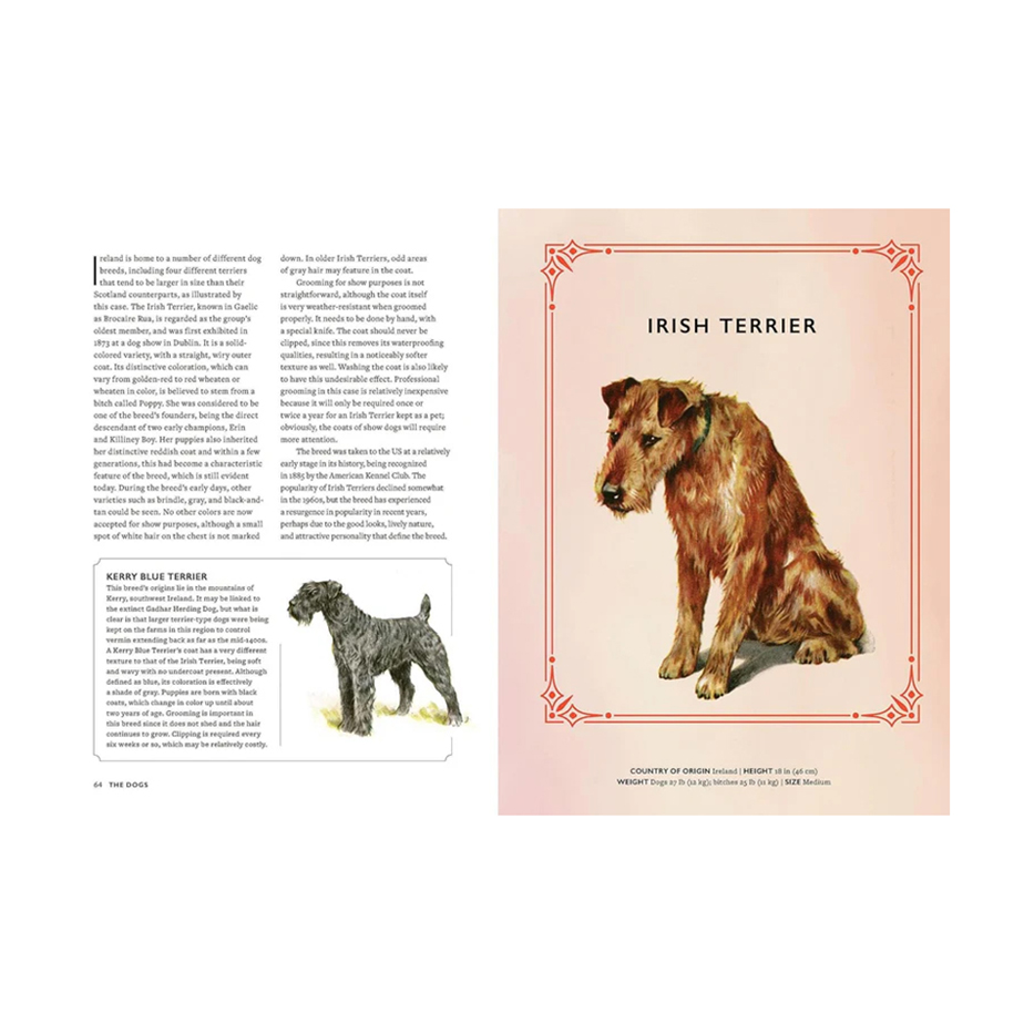 ספר VINTAGE DOGS