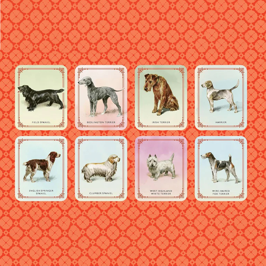 ספר VINTAGE DOGS