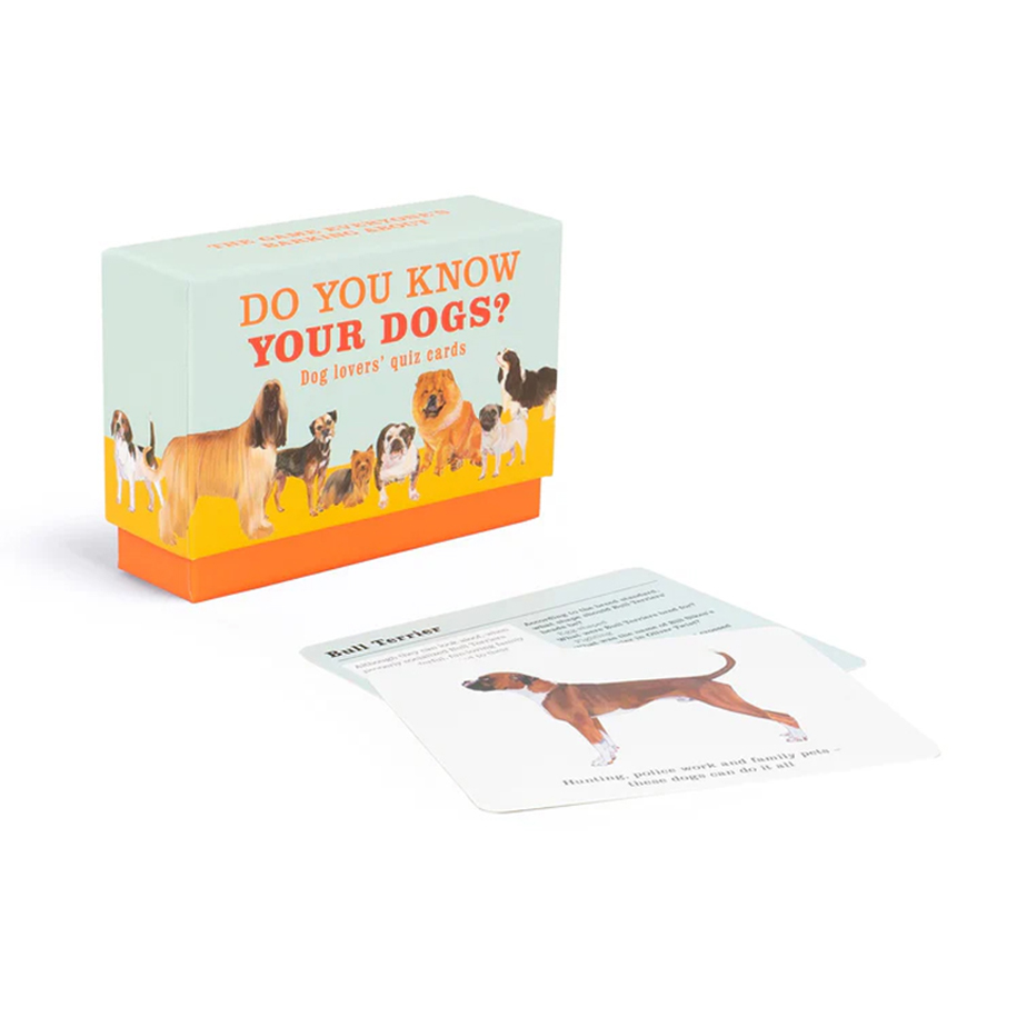 קלפי חידון DO YOU KNOW YOUR DOGS?