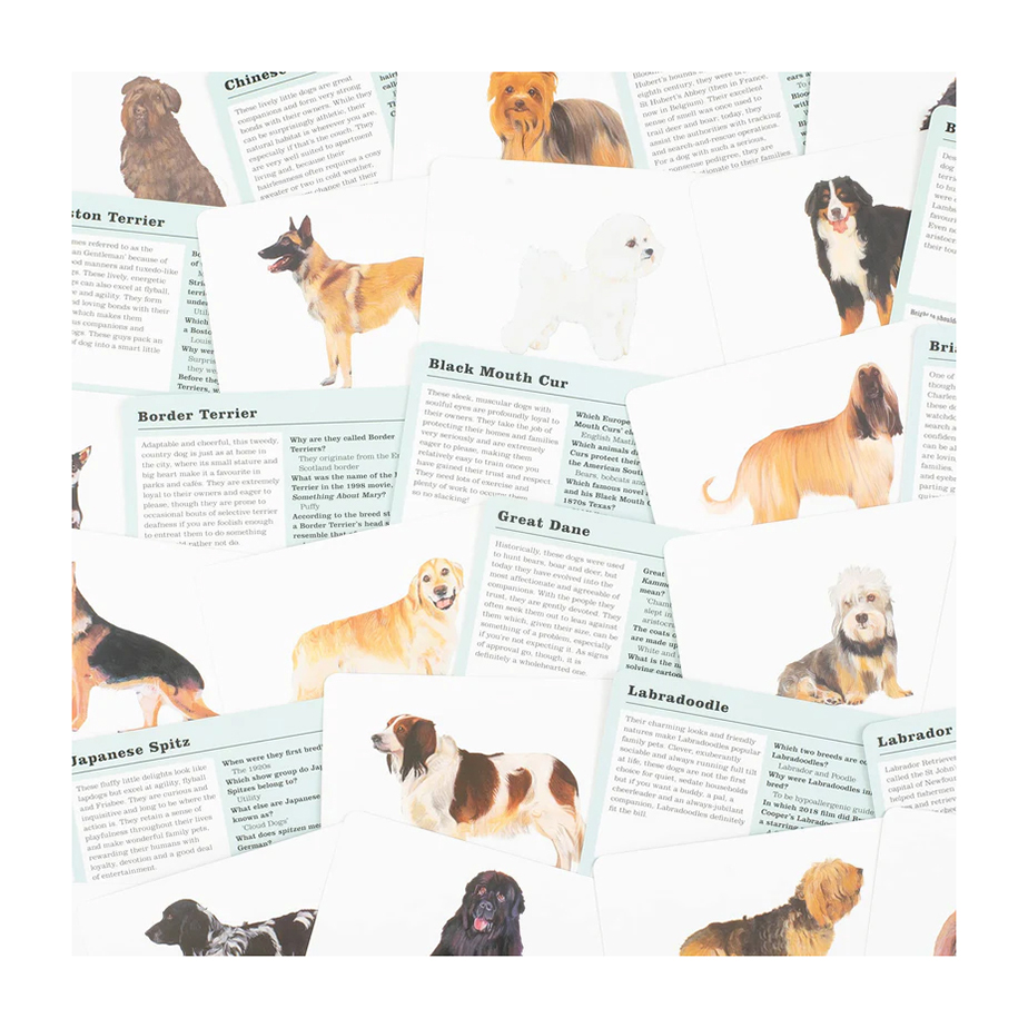 קלפי חידון DO YOU KNOW YOUR DOGS?