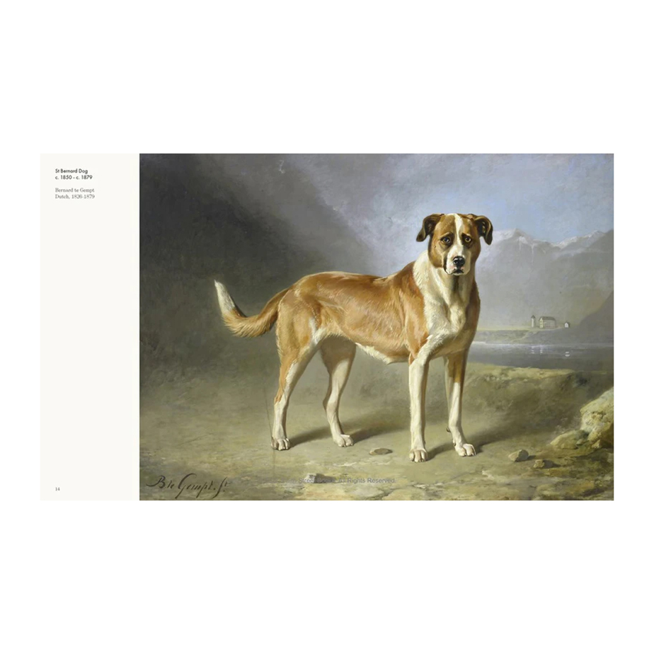 ספר ART DOG