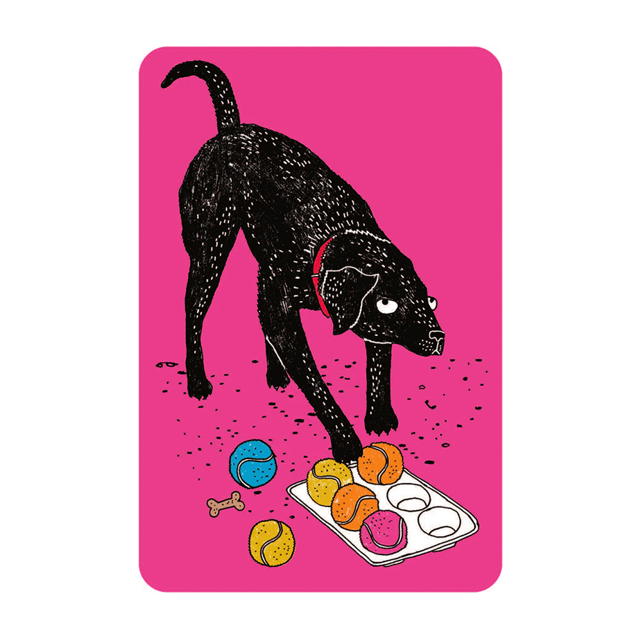 קלפי פעילויות SCHOOL FOR DOGS (AND THEIR HUMANS)