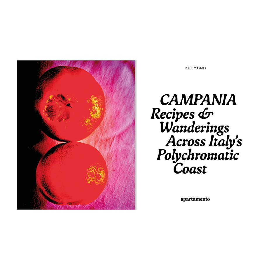 ספר CAMPANIA: RECIPES & WANDERINGS