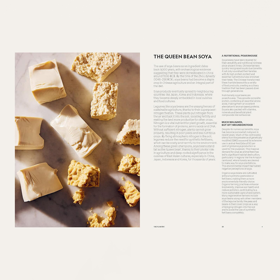 ספר BEYOND BAKING