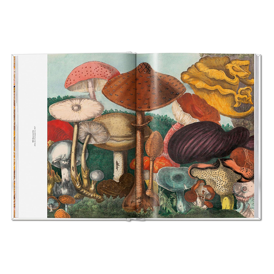 ספר THE GOURMAND'S MUSHROOM. A COLLECTION OF STORIES & RECIPES