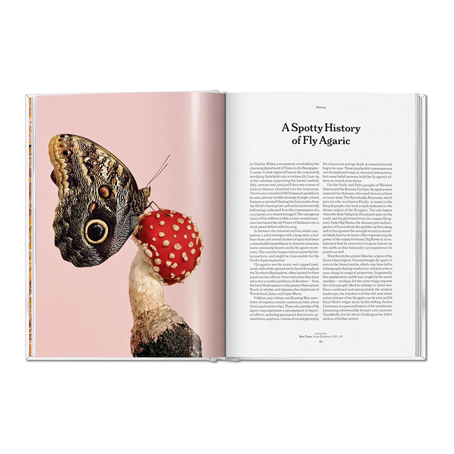 ספר THE GOURMAND'S MUSHROOM. A COLLECTION OF STORIES & RECIPES