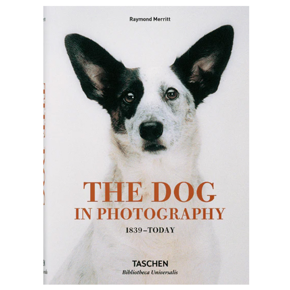 ספר THE DOG IN PHOTOGRAPHY