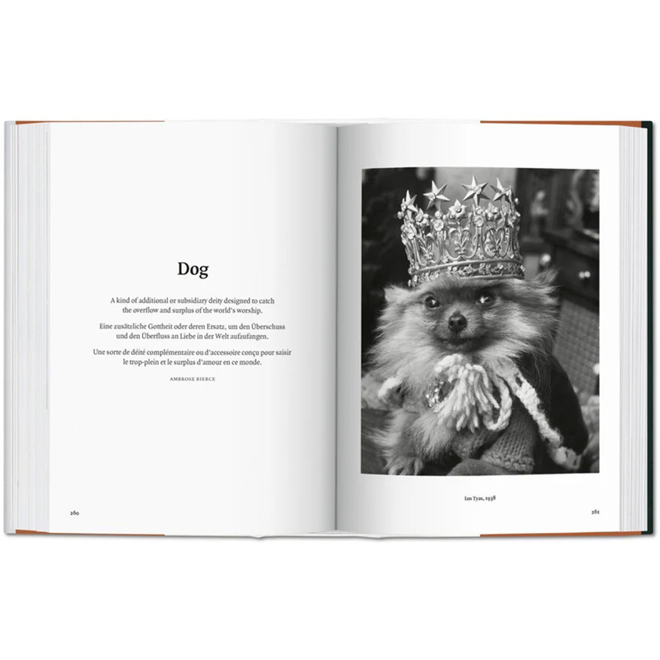ספר THE DOG IN PHOTOGRAPHY